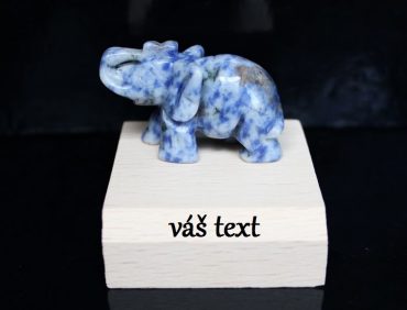 Sloník slon pre šťastie