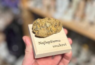 Trilobit fosilia darcek deti